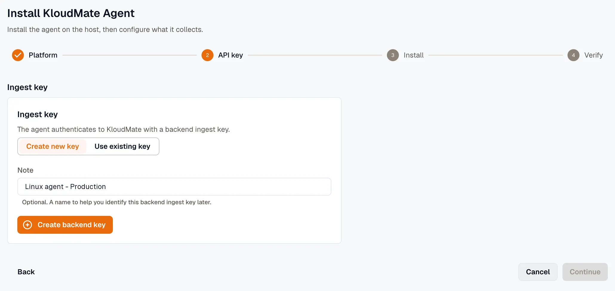 API key step when adding an agent