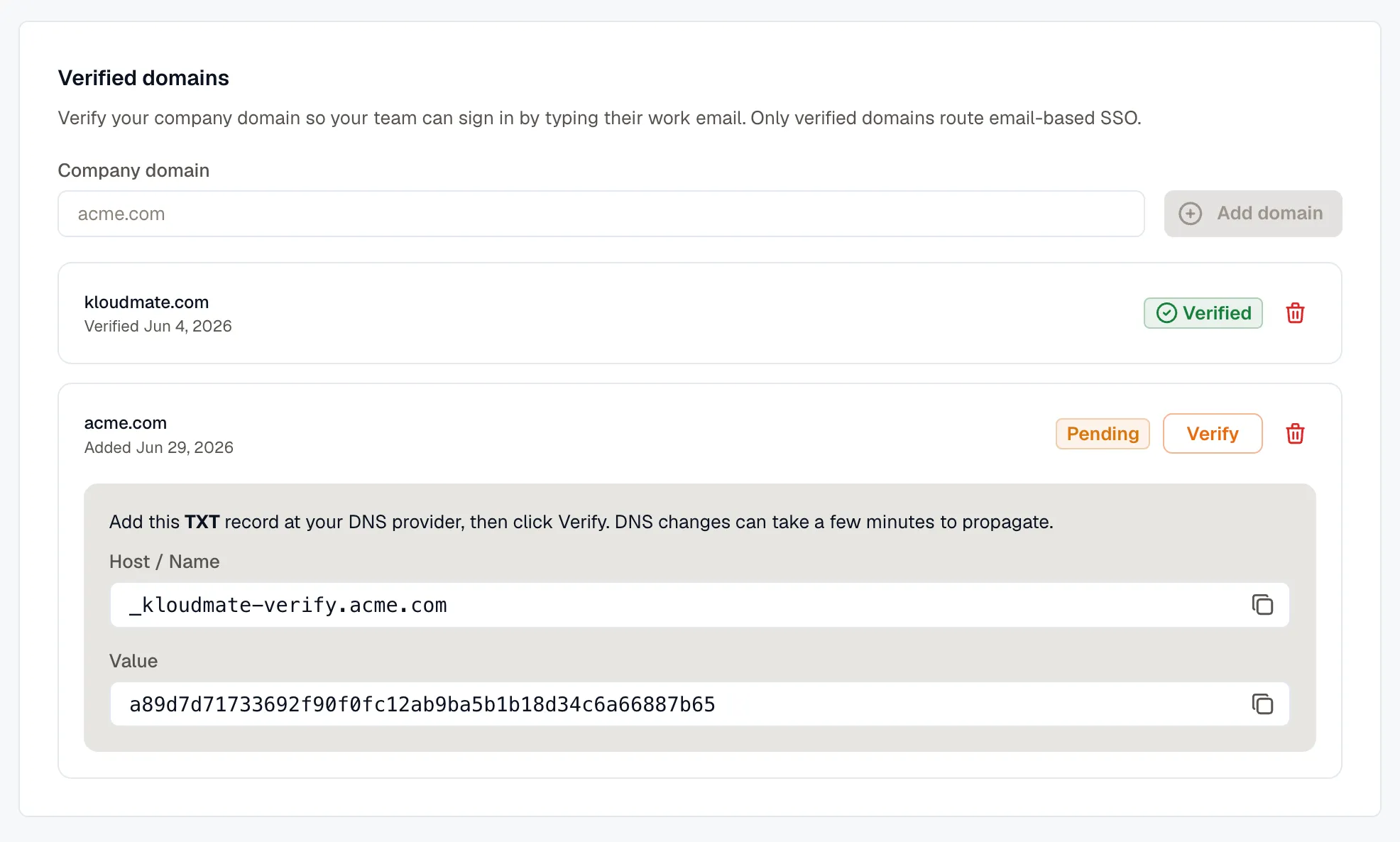 Pending domain with its DNS TXT record