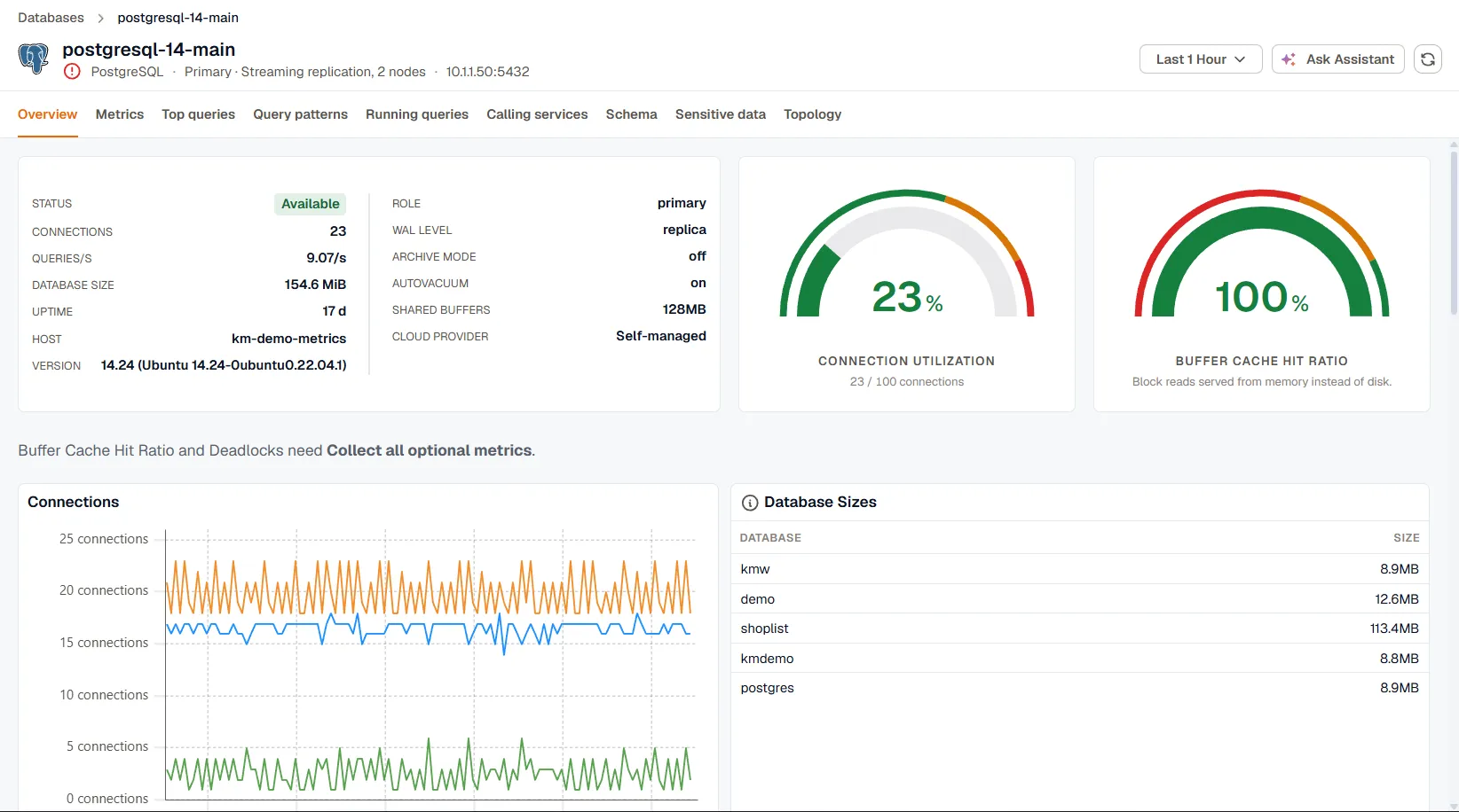 The Overview tab of a PostgreSQL primary, with the instance info card, connection utilization and buffer cache hit ratio gauges, and the Connections and Database Sizes panels.