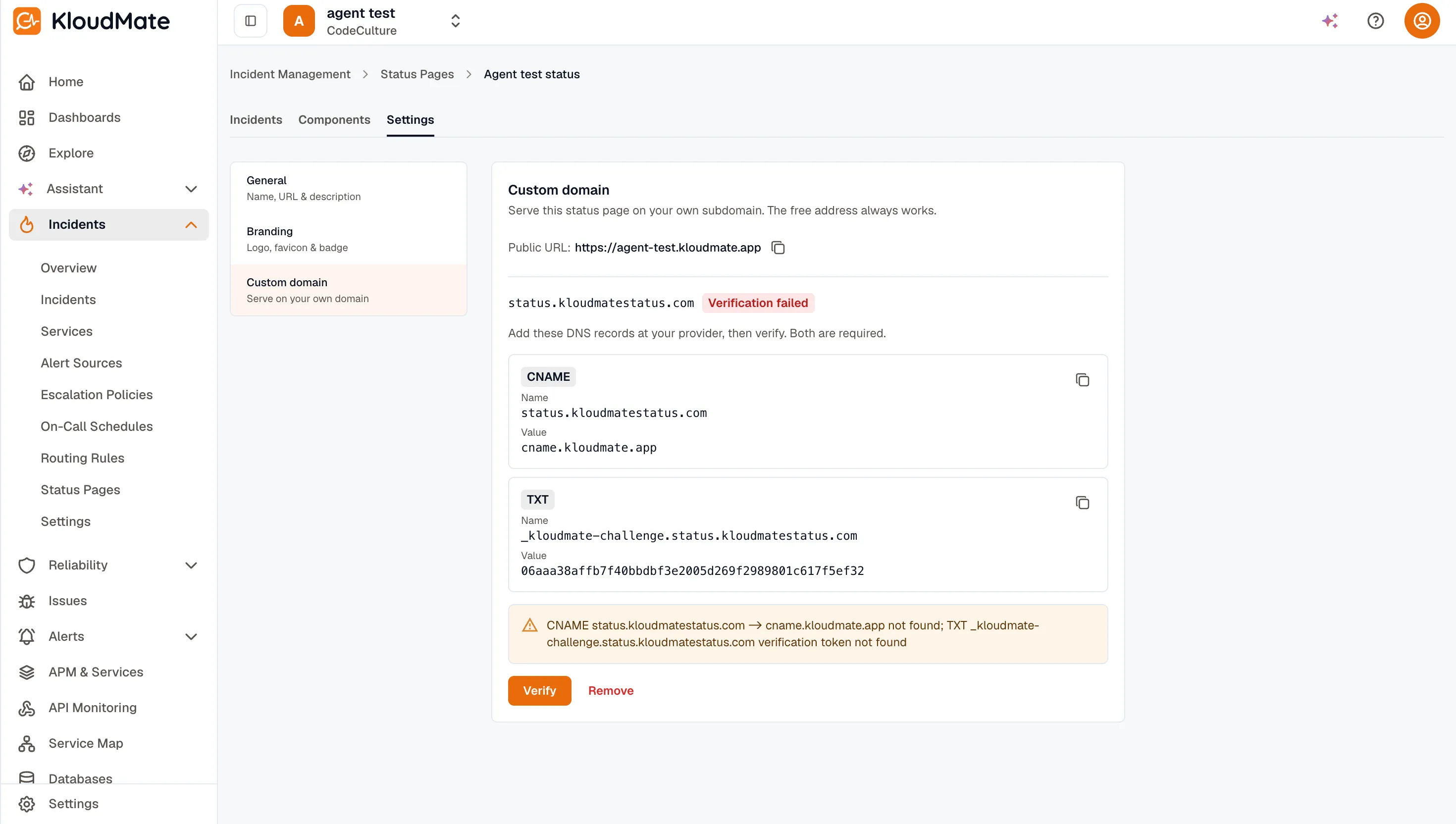 Custom domain DNS records and verification