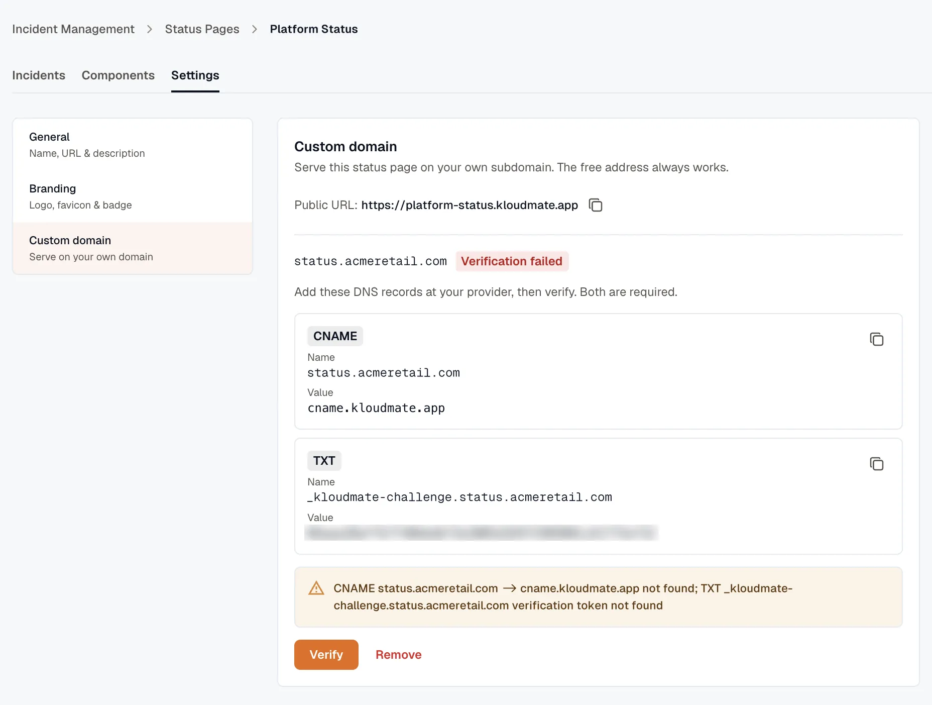 Custom domain DNS records and verification