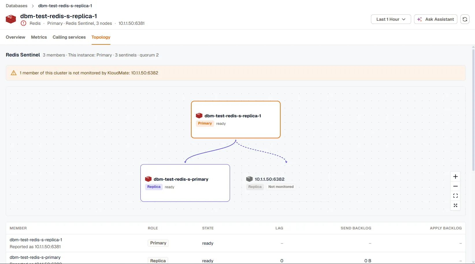 The Topology tab of a Redis Sentinel group, showing the primary and its replicas as a tree, a warning about an unmonitored replica, and a table of members with their role, state, lag, and backlog.